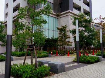 ���n�O�ώʐ^�@�~�n���ɂ͗΂������ł���