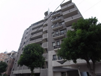 ���n�O�ώʐ^�@�����ɕ֗��ȗ��n�̃}���V�����ł���