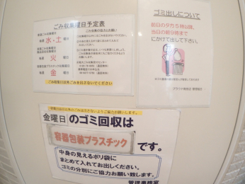 ̑p@S~u