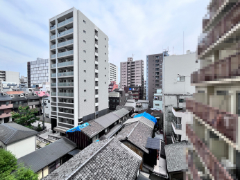 Z˂̒]ʐ^@삩炽Ղ̗z~蒍oRj[i2025.05.24Bej