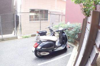 ̑p@oCNu
