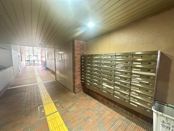 ̑p@[anw