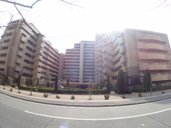 nOώʐ^@-