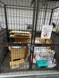 ���̑����p���@�S�~�u����