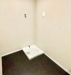 ���ʑ�E���ʏ��@���ʑ�A�h���p���V��