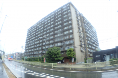 nOώʐ^@-