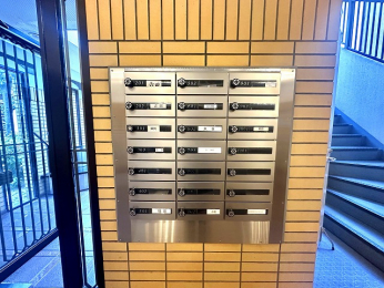 ̑p@[{bNX