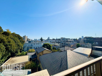 Z˂̒]ʐ^@n̒]i2025N11jBe