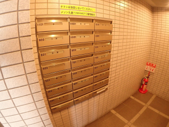 ̑p@[anw