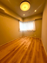 ���r���O�ȊO�̋����@�m��5.0��