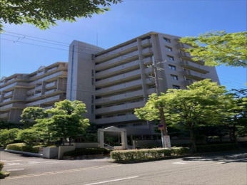 nOώʐ^@k}skyRzwk15!!  Vϐk}VňSEZ[œKp\!!