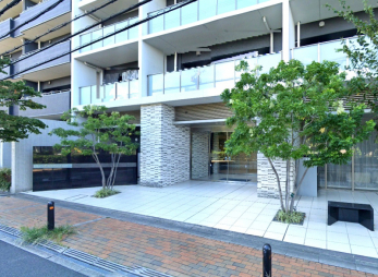 GgX@ꂢɐ|Ă܂̂ŊǗ̐ǍDłB