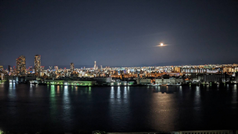 Z˂̒]ʐ^@̃oRj[ɂ̒]ł