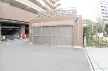 ̑p@S~u
