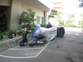 ̑p@oCNu