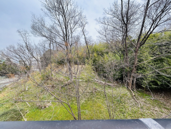 �Z�˂���̒��]�ʐ^�@���[�t�o���R�j�[����̒��]�I