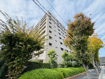 nOώʐ^@k}skyʑDOzwk16!! }oXyk΋uwZOzoX k4 Vϐk}VňSEZ[œKp\!!