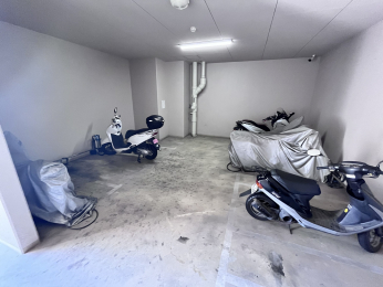 ̑p@̃oCNuIJ̓łSłˁ 