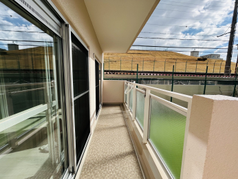 �o���R�j�[�@������o���R�j�[�B���󕨂��ǂ������܂��B