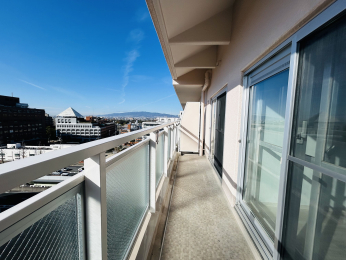 �o���R�j�[�@������o���R�j�[�B���󕨂��悭�����܂��B