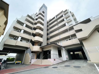 nOώʐ^@n8KāAVϐkEZ[TKp\}VłB