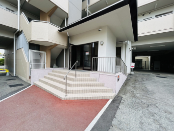 GgX@ꂢɐ|Ă܂̂ŊǗ̐ǍDłB