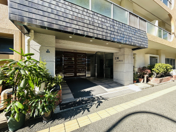 GgX@wX[p[ARrjߗׂɂ鐶ւȗnłB