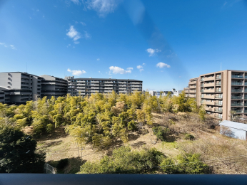 �Z�˂���̒��]�ʐ^�@�������o���R�j�[����̒��]