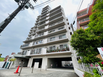 nOώʐ^@k}skuΒnvwk4̍DnI