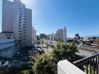 Z˂̒]ʐ^@쐼oRj[̒]