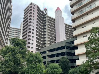 nOώʐ^@2007NN9z̕}Vł