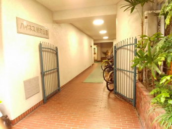 �G���g�����X�@-