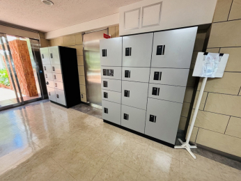 ̑p@z{bNXtł̂ŋ}ȂoSł