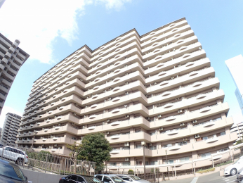 ���n�O�ώʐ^�@����8�N5�����z