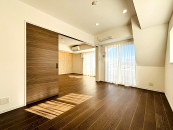 ���r���O�ȊO�̋����@-