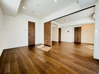 ���r���O�ȊO�̋����@-