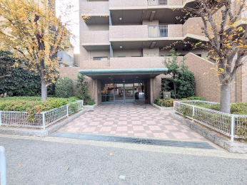 �G���g�����X�@-