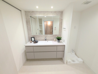 ���ʑ�E���ʏ��@�A�C�J�H�Ƃ̐��ʑ��V�����܂�����