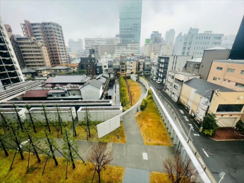 �Z�˂���̒��]�ʐ^�@-