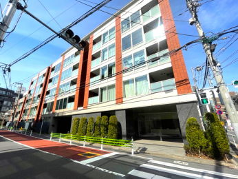 ���n�O�ώʐ^�@�u�T�؍�v�w�k��6����4�w4�H�����p�ōD���n