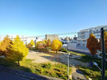 �Z�˂���̒��]�ʐ^�@-