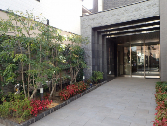 �G���g�����X�@-