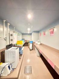 ���̑����p���@���p���E�~�n���S�~�u����