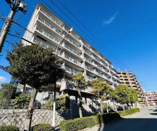 ���n�O�ώʐ^�@�n��7�K���Ẵ}���V�����ł��B