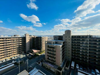 �Z�˂���̒��]�ʐ^�@-