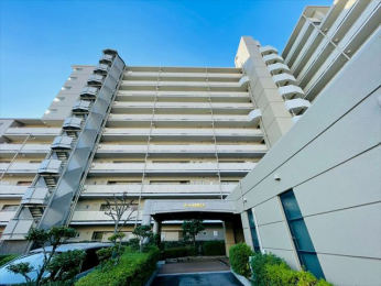 ���n�O�ώʐ^�@����}�_�ː��y���ɔV���z�w�k��35���E�o�X9���k��3��!! ����}���Ð��y�b�����z�w �k��22���A�����A�N�Z�X�\�I ���V�ϐk��}���V�����ň��S�E�Z��[�����œK�p�\����!!