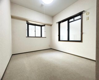 ���r���O�ȊO�̋����@��4.8���̗m���B����2�������邽�ߖ��邭�A���C�ɗD��Ă��܂��B