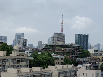 �Z�˂���̒��]�ʐ^�@�o���R�j�[����̒��]�ǍD�I�i�����^���[���ꕔ�]�ށj