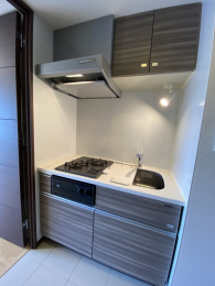 �L�b�`���@�L�b�`�������ؐl�����O�̗l�q