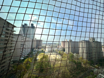 �Z�˂���̒��]�ʐ^�@-